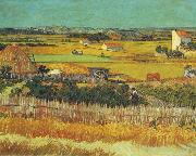 Vincent Van Gogh The Harvest, Arles oil on canvas